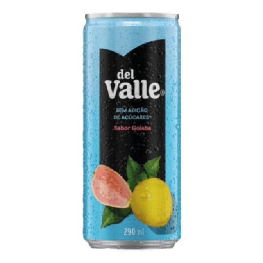SUCO DEL VALLE GOIABA 290ML