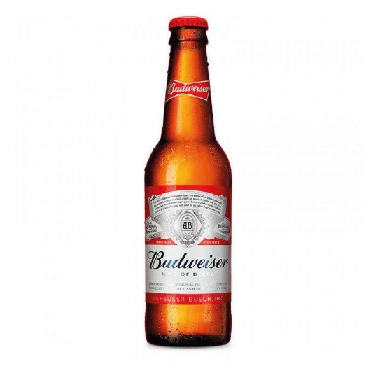 CERVEJA LONG NECK BUDWEISER