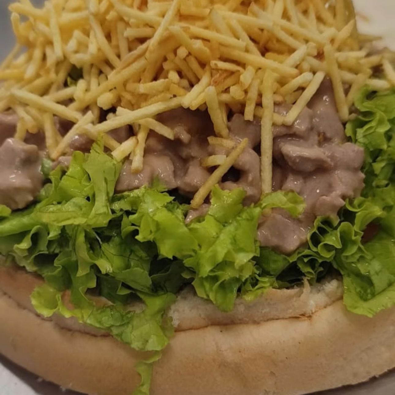 XIS STROGONOFF DE CARNE