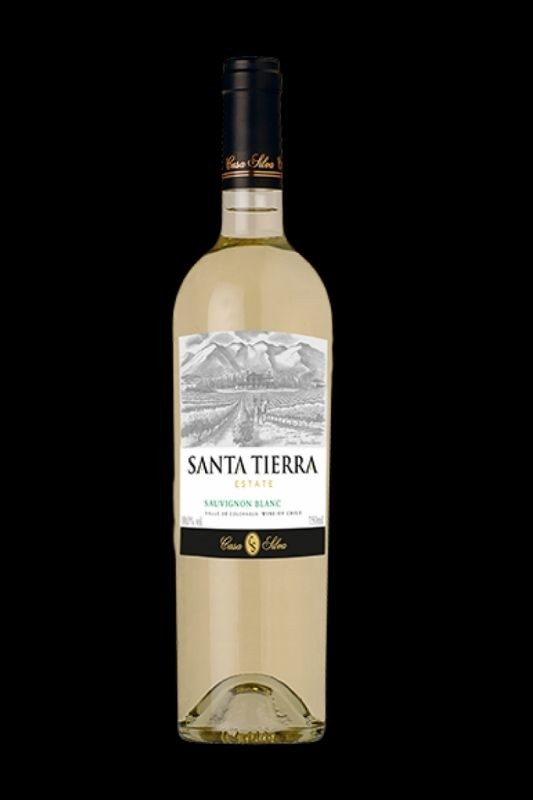 VINHO CASA SILVA SANTA TIERRA CARMENERE